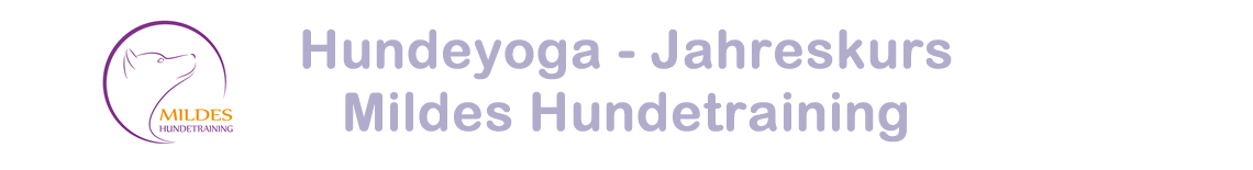 Hundeyoga Jahreskurs - Mildes Hundetraining